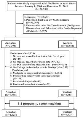 Apixaban vs. Warfarin in Atrial Fibrillation Patients With Chronic Kidney Disease